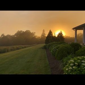 Meet your Posher, Tara